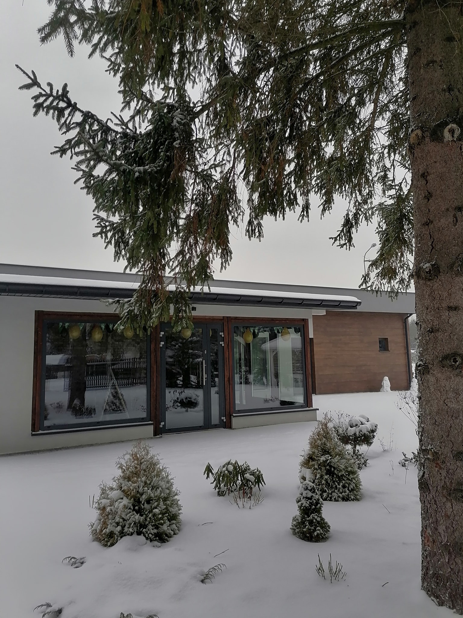 sala-zima-2